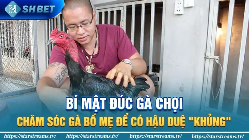 Bí mật đúc gà chọi