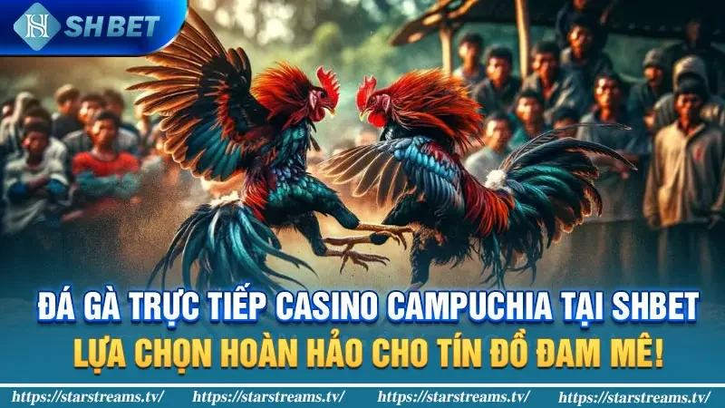 Đá gà trực tiếp Casino Campuchia tại SHBET