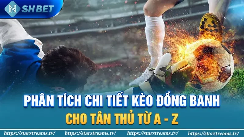 Phân Tích Chi Tiết Kèo Đồng Banh Cho Tân Thủ Từ A - Z