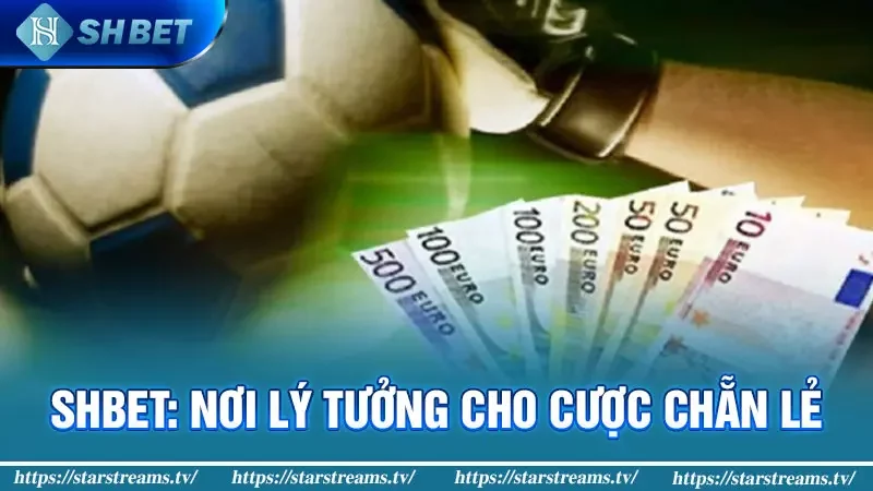 SHBET: Nơi lý tưởng cho cược chẵn lẻ?