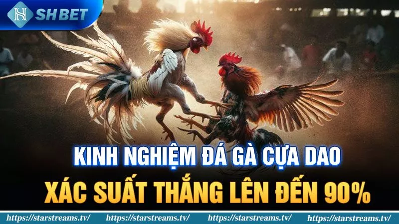 kinh nghiệm đá gà cựa dao