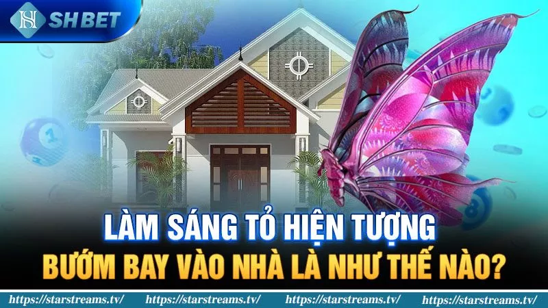 Hiện tượng bướm bay vào nhà là như thế nào?