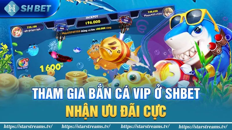 Tham gia bắn cá VIP ở SHBET nhận ưu đãi cực