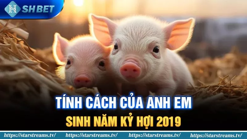 Tính cách của người sinh năm Kỷ Hợi 2019